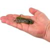 imageBerkley SlobberKnocker Fishing JigBama Bream