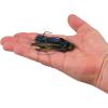 imageBerkley SlobberKnocker Fishing JigBruised