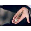 imageBerkley SlobberKnocker Fishing JigGreen Pumpkin PowerStinger Kit