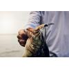 imageBerkley SlobberKnocker Fishing JigGreen Pumpkin Shad