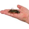 imageBerkley SlobberKnocker Fishing JigHot Craw