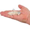 imageBerkley SlobberKnocker Fishing JigWhite