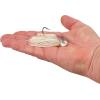 imageBerkley SlobberKnocker Fishing JigWhite PowerStinger Kit