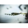 imageBerkley Swamp Lord Hollow Body Frog Fishing BaitMaverick