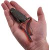 imageBerkley Swamp Lord Hollow Body Frog Fishing BaitPotomac