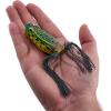 imageBerkley Swamp Lord Hollow Body Frog Fishing BaitSpring Frog