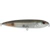 Mangrove Minnow