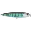 Pinfish