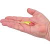 imageBerkley Berkley PowerBait Power Switch Fishing Soft BaitClown