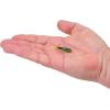 imageBerkley Berkley PowerBait Power Switch Fishing Soft BaitFiretiger