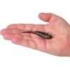 imageBerkley Berkley PowerBait Power Switch Fishing Soft BaitGreen Pumpkin