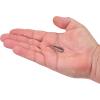 imageBerkley Berkley PowerBait Power Switch Fishing Soft BaitHD Blacknose Shiner