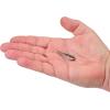imageBerkley Berkley PowerBait Power Switch Fishing Soft BaitHD Red Belly Goby