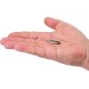 imageBerkley Berkley PowerBait Power Switch Fishing Soft BaitHD Stealth Minnow