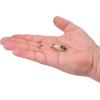 imageBerkley Berkley PowerBait Power Switch Fishing Soft BaitWonderbread