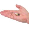 imageBerkley Berkley PowerBait Power Switch Fishing Soft BaitWonderbread