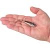 imageBerkley Berkley PowerBait Power SwitchHD Blacknose Shiner