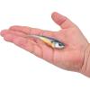 imageBerkley Berkley PowerBait Power SwitchHD Blue Wizard