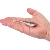 imageBerkley Berkley PowerBait Power SwitchHD Red Belly Goby