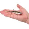 imageBerkley Berkley PowerBait Power SwitchHD Red Belly Goby