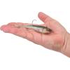 imageBerkley Berkley PowerBait Power SwitchHD Stealth Minnow