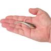 imageBerkley Berkley PowerBait Power SwitchHD Stealth Minnow