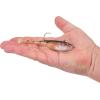 imageBerkley Berkley PowerBait Power SwitchHD Yellow Perch