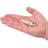 imageBerkley Berkley PowerBait Power SwitchSilver Bullet