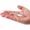 imageBerkley Berkley PowerBait Saltwater CullShadChartreuse Silver Flash