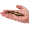 imageBerkley Berkley PowerBait Saltwater CullShadDark Night