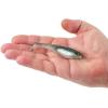 imageBerkley Berkley PowerBait Saltwater CullShadHD Pinfish