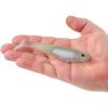 imageBerkley Berkley PowerBait Saltwater CullShadMermaid