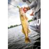 imageBerkley Gulp Alive Minnow Fishing Soft BaitSmelt