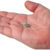 imageBerkley Gulp Alive Tadpole Fishing Soft BaitChive
