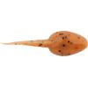imageBerkley Gulp Alive Tadpole Fishing Soft BaitPumpkinseed