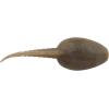 imageBerkley Gulp Alive Tadpole Fishing Soft BaitSmog