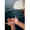 imageBerkley Gulp Saltwater Jerk Shad  Sardine 5in