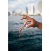 imageBerkley Gulp Saltwater Jerk Shad  Sardine 5in