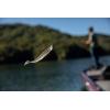 imageBerkley Paddle Tail Trout Fishing Bait 2 in French Pearl Multipurpose Reliable Paddle Tail Actions Eyepopping Colors Multiple Rigging OptionsSight Flash