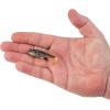 imageBerkley PowerBait Agent E Fishing Soft BaitHD Bluegill