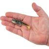 imageBerkley PowerBait Agent E Fishing Soft BaitHD Bluegill