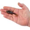 imageBerkley PowerBait Agent E Fishing Soft BaitHD Brown Craw