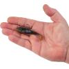 imageBerkley PowerBait Agent E Fishing Soft BaitHD Brown Craw