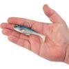 imageBerkley PowerBait Agent E Fishing Soft BaitHD Gizzard Shad