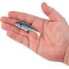 imageBerkley PowerBait Agent E Fishing Soft BaitHD Gizzard Shad