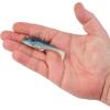 imageBerkley PowerBait Agent E Fishing Soft BaitHD Gizzard Shad