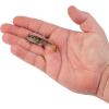 imageBerkley PowerBait Agent E Fishing Soft BaitHD Goby