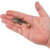 imageBerkley PowerBait Agent E Fishing Soft BaitHD Goby