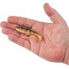 imageBerkley PowerBait Agent E Fishing Soft BaitHD Yellow Perch