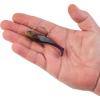 imageBerkley PowerBait Agent E Fishing Soft BaitPeanut Butter and Jelly